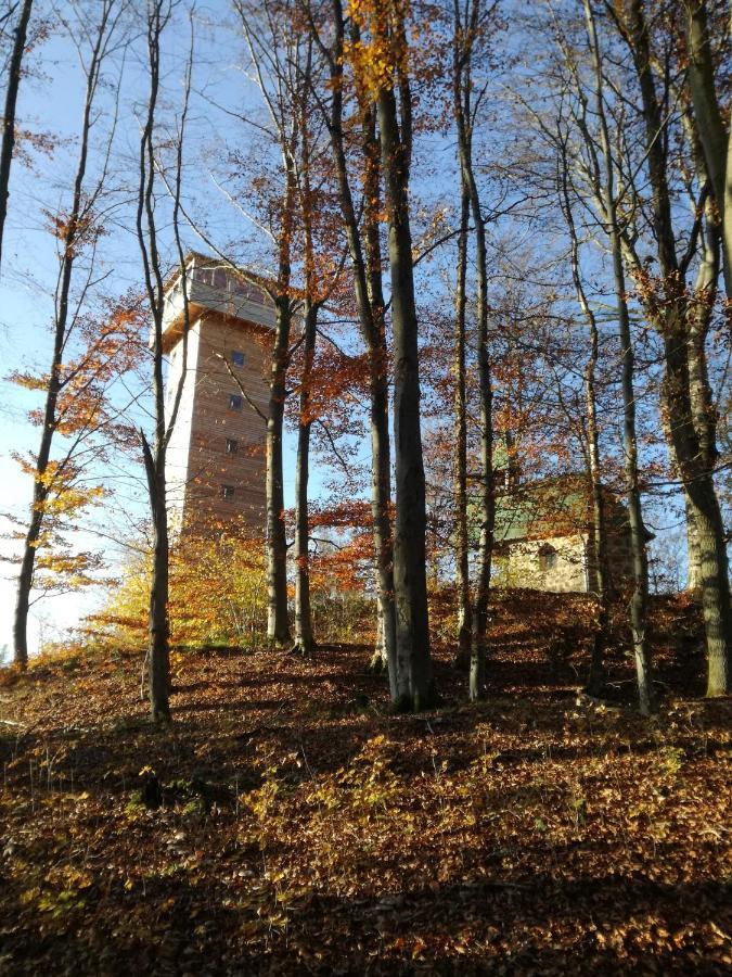 Gasthaus Zur Waldesruh Waffenbrunn Eksteriør billede