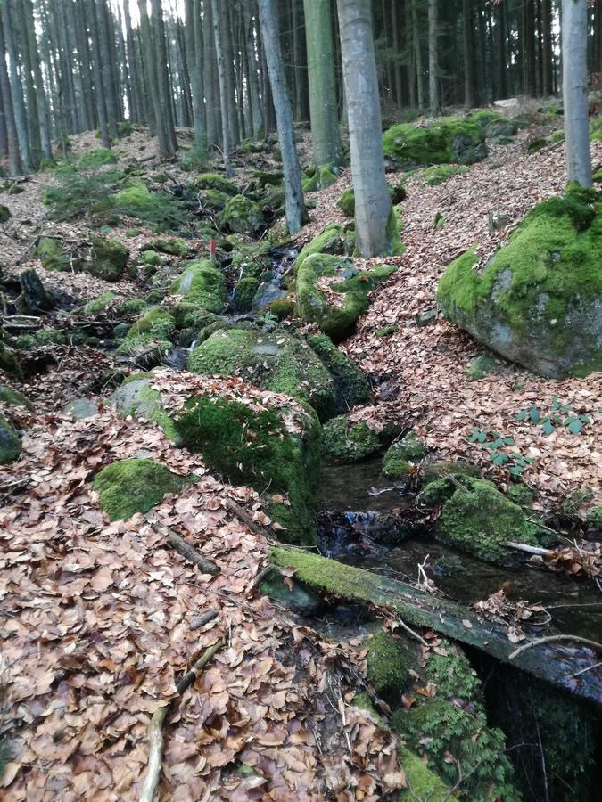 Gasthaus Zur Waldesruh Waffenbrunn Eksteriør billede