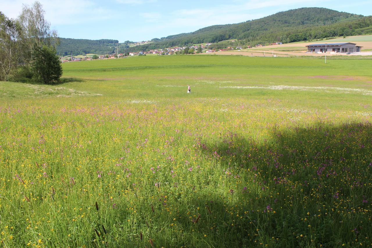 Gasthaus Zur Waldesruh Waffenbrunn Eksteriør billede